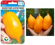 томат Золотой Буратино СибСад