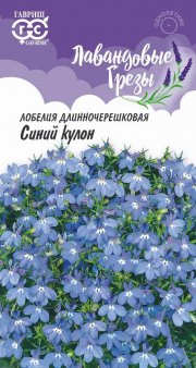 цветы Лобелия ампельная Синий кулон ГАВРИШ серия Лавандовые грезы