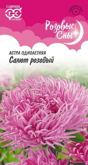цветы астра Салют розовый ГАВРИШ серия Розовые сны