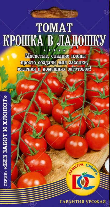 Томат крошка в ладошку. Белорусский томат Кроха. Сорт помидоров ладошка. Томат ладошка купить.