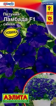 цветы Петуния Ламбада F1 синяя многоцветковая АЭЛИТА
