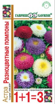 цветы Астра Разноцветные помпоны, смесь 0,6 гр ГАВРИШ серия 1+1