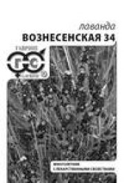 зеленные Лаванда Вознесенская 34 (БП) узколистная (ГАВРИШ