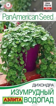 цветы Дихондра Изумрудный водопад АЭЛИТА