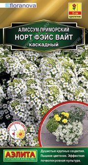 цветы Алиссум Норт фэйс Вайт каскадный АЭЛИТА