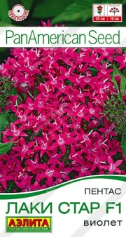 цветы Пентас Лаки стар F1 виолет АЭЛИТА