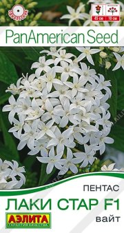 цветы Пентас Лаки стар F1 вайт АЭЛИТА