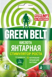 Янтарная кислота  4 гр (1/100) ТЭ