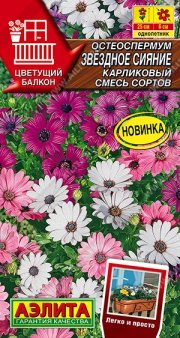 цветы Остеоспермум Звездное сияние карликовый, смесь сортов АЭЛИТА