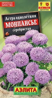 цветы астра Монпансье серебристая АЭЛИТА