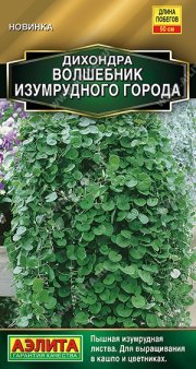 цветы Дихондра Волшебник Изумрудного города АЭЛИТА