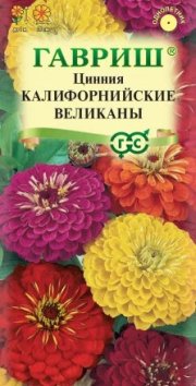 цветы Цинния Калифорнийские великаны, смесь ГАВРИШ