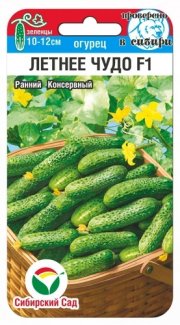 огурец Летнее Чудо СибСад