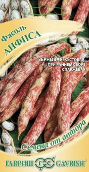 фасоль Анфиса кустовая ГАВРИШ
