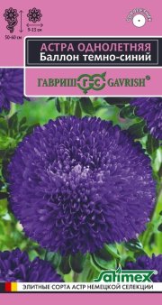 цветы Астра Баллон темно-синий,густомахров. ГАВРИШ