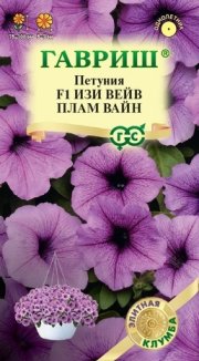 цветы Петуния Изи Вейв плам вайн F1 (Минитуния) суперкаскад. ГАВРИШ