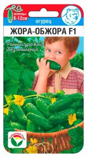 огурец Жора Обжора СибСад