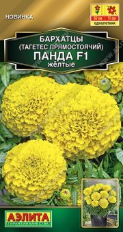 цветы бархатцы Панда желтые АЭЛИТА прямост