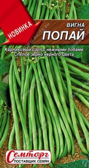 Вигна Попай АЭЛИТА