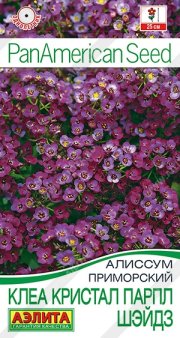 цветы Алиссум Клеа кристал парпл шэйдз АЭЛИТА