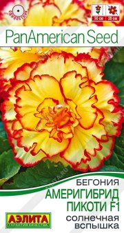 цветы Бегония Америгибрид Пикоти F1 солнечная вспышка АЭЛИТА