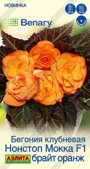цветы Бегония Нонстоп мокка F1 брайт оранж АЭЛИТА