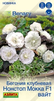 цветы Бегония Нонстоп мокка F1 вайт АЭЛИТА