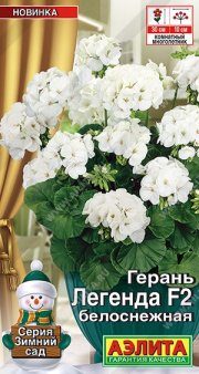 цветы Герань Легенда белоснежная F2 АЭЛИТА