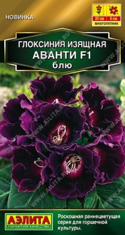 цветы Глоксиния Аванти F1 блю АЭЛИТА