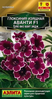 цветы Глоксиния Аванти F1 блю виз вайт эйдж АЭЛИТА