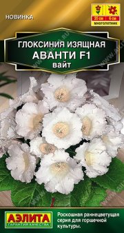 цветы Глоксиния Аванти F1 вайт АЭЛИТА