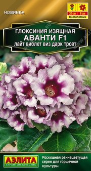 цветы Глоксиния Аванти F1 лайт виолет виз дарк троат АЭЛИТА