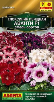 цветы Глоксиния Аванти F1, смесь сортов АЭЛИТА