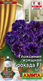 цветы Глоксиния Брокада F1 блю  АЭЛИТА