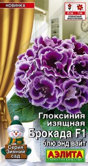 цветы Глоксиния Брокада F1 блю энд вайт  АЭЛИТА
