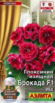 цветы Глоксиния Брокада F1 ред  АЭЛИТА