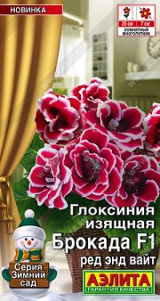 цветы Глоксиния Брокада F1 ред энд вайт  АЭЛИТА