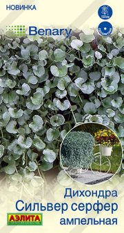 цветы Дихондра Сильвер серфер ампельная АЭЛИТА