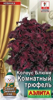 цветы Колеус Блюме Комнатный трюфель АЭЛИТА