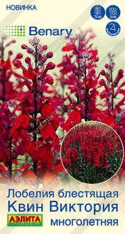 цветы Лобелия Квин Виктория многолетняя АЭЛИТА