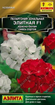 цветы Пеларгония Элитная F1 красно-белая АЭЛИТА