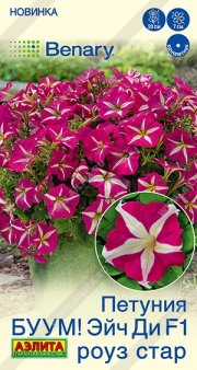 цветы Петуния БУУМ! Эйч Ди F1 Роуз Стар АЭЛИТА