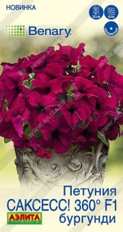 цветы Петуния САКСЕСС! 360° F1 БУРГУНДИ АЭЛИТА