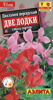 Цветы Цикламен Персидский Две лодки, смесь сортов АЭЛИТА