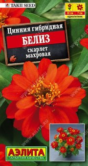 Цветы Цинния Белиз скарлет махровая АЭЛИТА