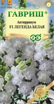 цветы Антирринум(Львиный зев) Легенда белая F1 ГАВРИШ
