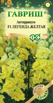 цветы Антирринум (Львиный зев) Легенда желтая F1 ГАВРИШ