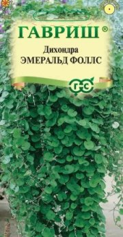 цветы Дихондра Эмеральд Фоллс ГАВРИШ