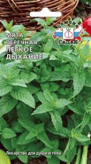 зеленные Мята Легкое Дыхание СЕДЕК
