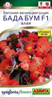 цветы Бегония Бада бум F1 алая АЭЛИТА